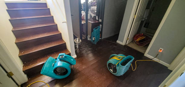 Carpet water damage restoration in Harvard, NE