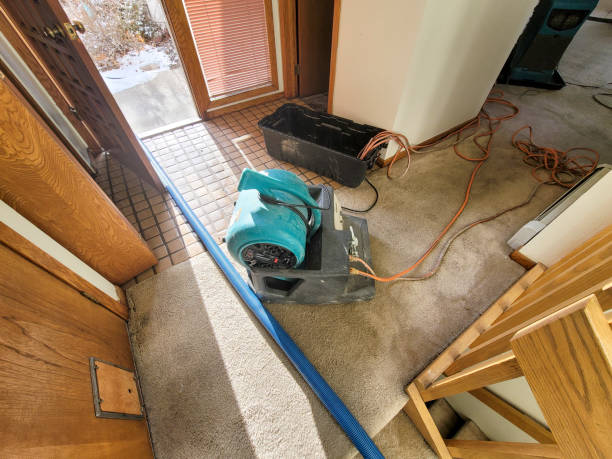 Best Flood restoration services  in Harvard, NE