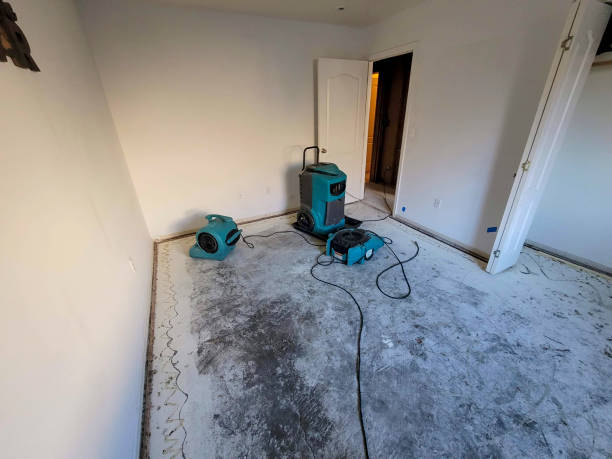 Best Water damage restoration mold remediation  in Harvard, NE