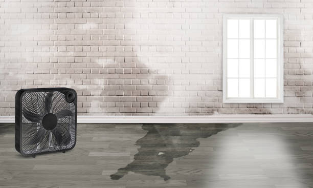 Reliable Harvard, NE Water damage restoration Solutions